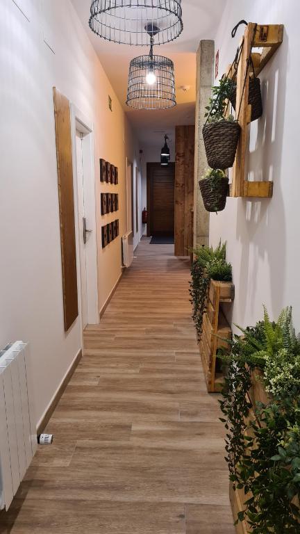 Pension Asieran, foto 5